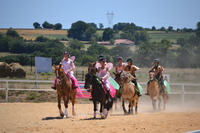 Haras De La Salmonière